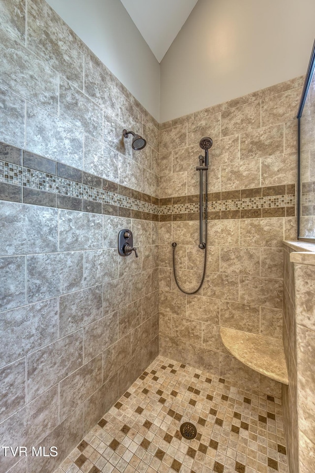 3 Chestnut Ridge Ct, Jonesborough, TN 37659 - bathroom featuring lofted ceiling and a tile shower