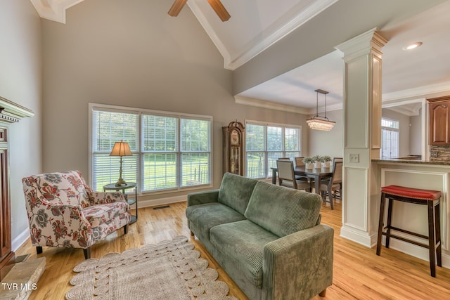 3 Chestnut Ridge Ct, Jonesborough, TN 37659 - living room featuring ornamental molding, healthy amount of natural light, ceiling fan, ornate columns, and light wood-style flooring