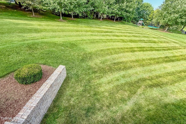3 Chestnut Ridge Ct, Jonesborough, TN 37659 - view of grassy yard