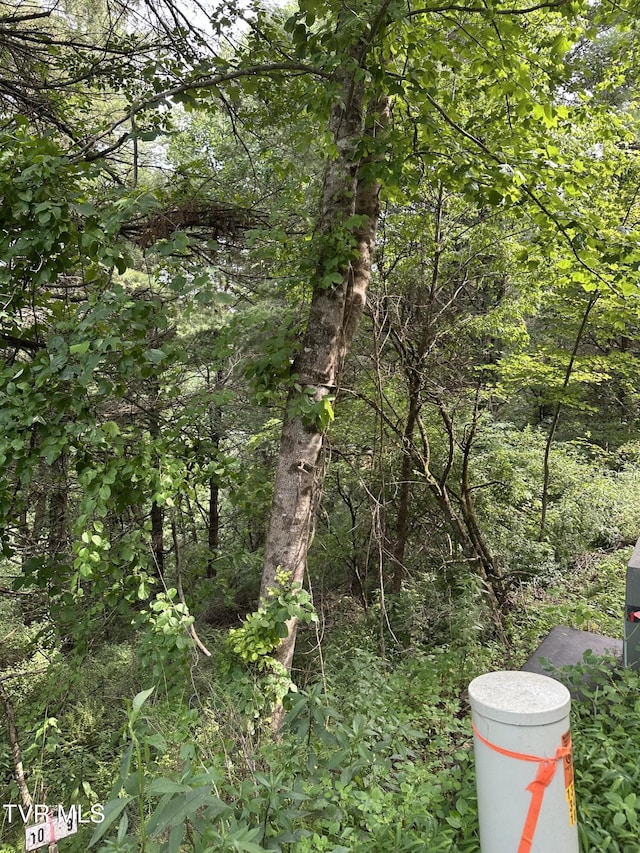 LOT9 Laurelwood Ln, Mountain City, TN 37683 - photo 13