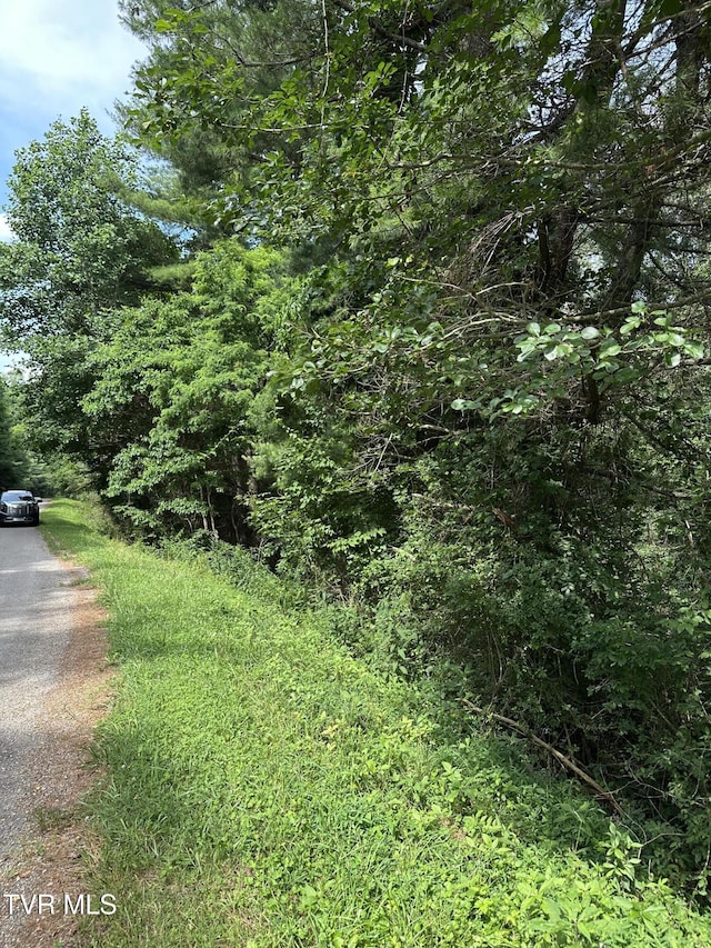 LOT9 Laurelwood Ln, Mountain City, TN 37683 - photo 3