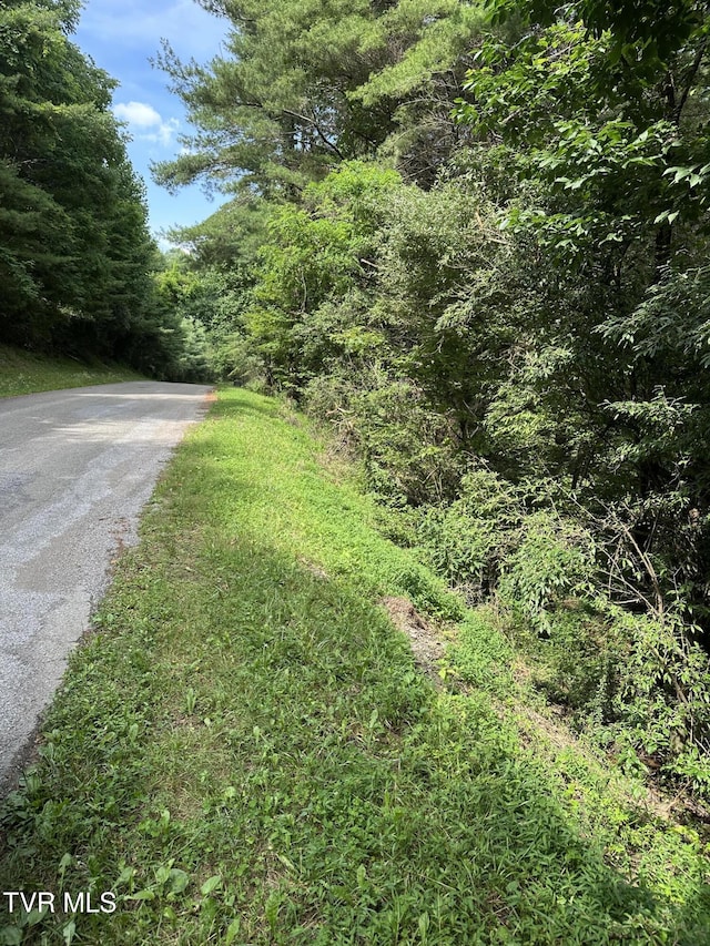 LOT9 Laurelwood Ln, Mountain City, TN 37683 - photo 4