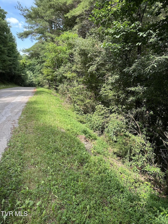 LOT9 Laurelwood Ln, Mountain City, TN 37683 - photo 5