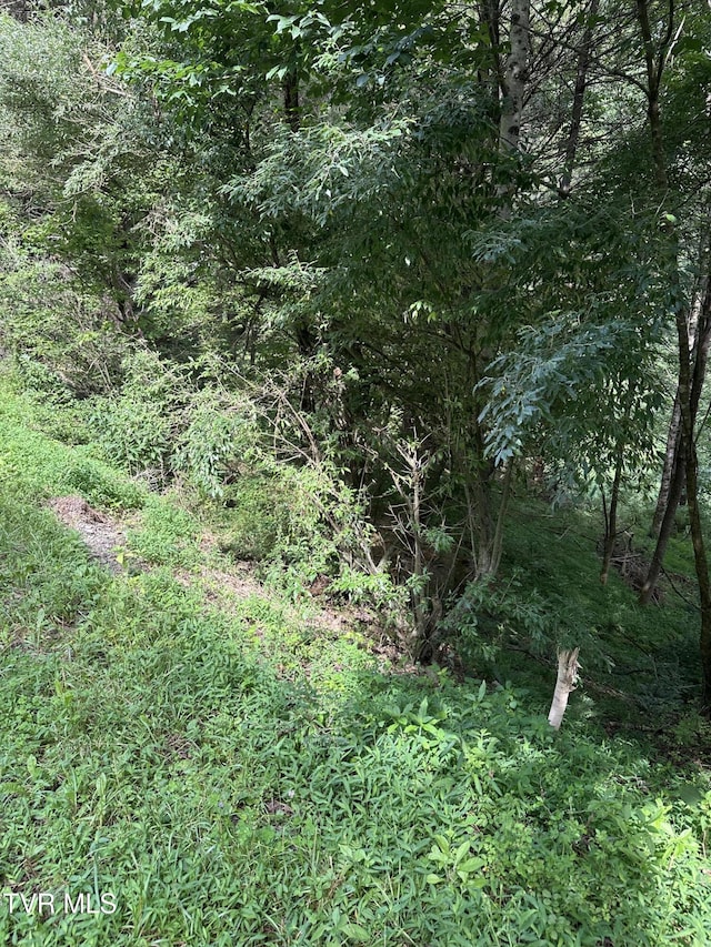 LOT9 Laurelwood Ln, Mountain City, TN 37683 - photo 6