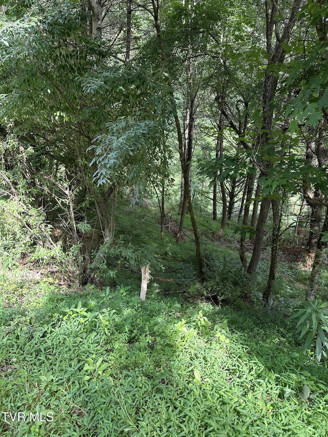 LOT9 Laurelwood Ln, Mountain City, TN 37683 - photo 7