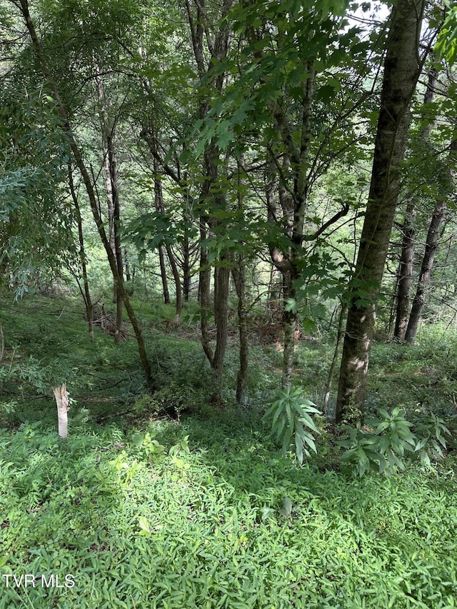 LOT9 Laurelwood Ln, Mountain City, TN 37683 - photo 8