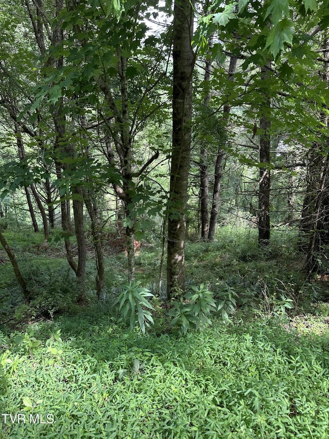 LOT9 Laurelwood Ln, Mountain City, TN 37683 - photo 9