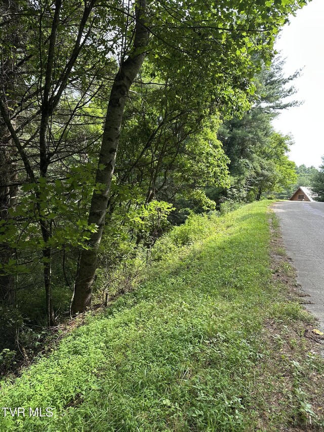 LOT9 Laurelwood Ln, Mountain City, TN 37683 - photo 12