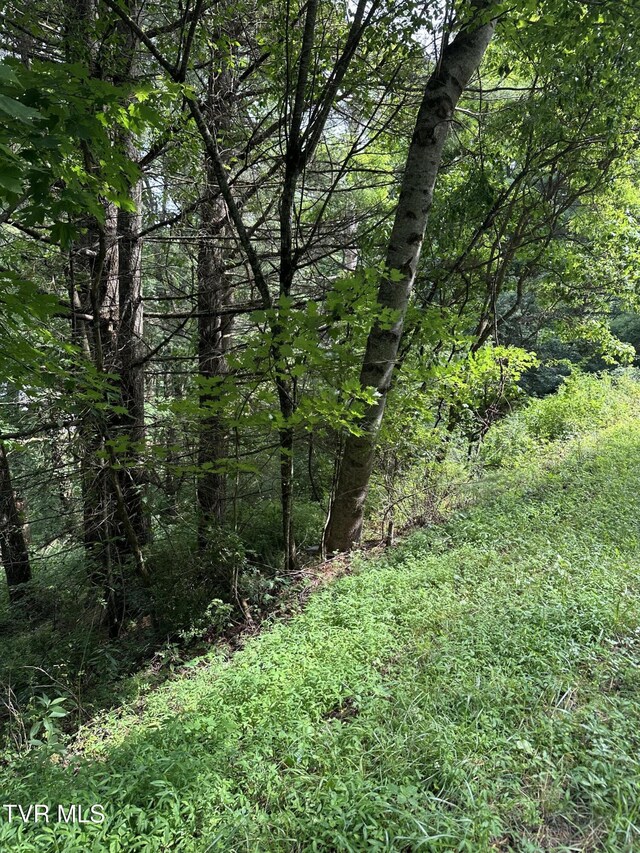LOT9 Laurelwood Ln, Mountain City, TN 37683 - photo 11
