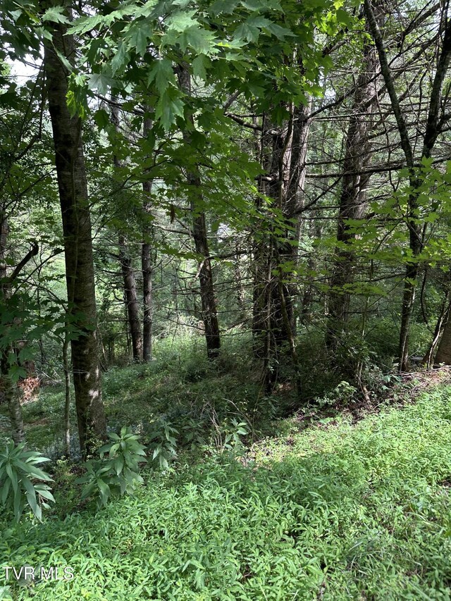 LOT9 Laurelwood Ln, Mountain City, TN 37683 - photo 10