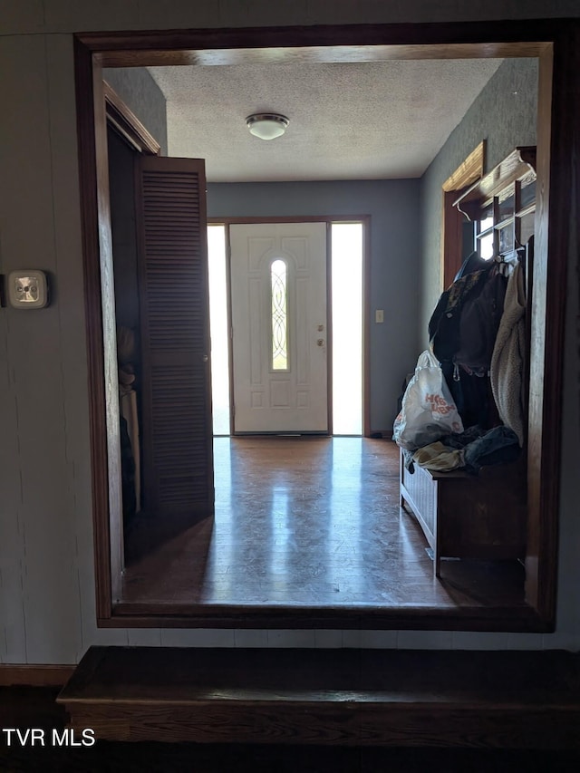 233 Pioneer Haven Ln, Kingsport, TN 37663 - entrance foyer with a textured ceiling