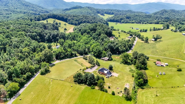 22643 Twin Oaks Rd, Abingdon, VA 24211 - view of rural area with a mountainous background and a heavily wooded area