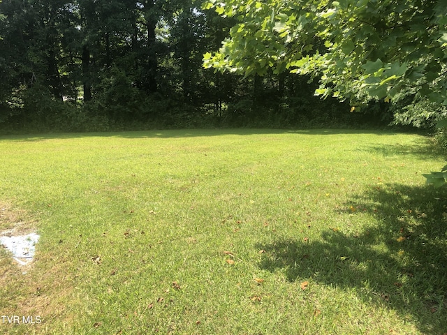 107 Love Blevins Ln, Erwin, TN 37650