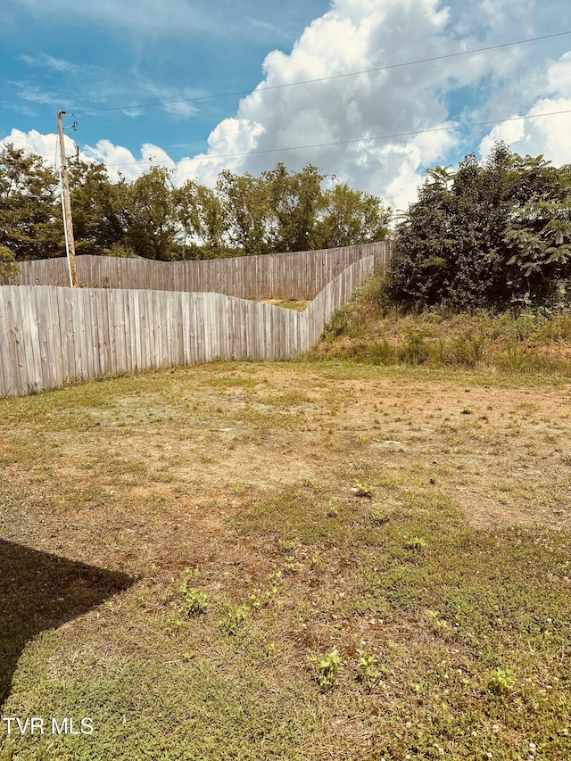 1461 Gress Mag Mtn, Kingsport, TN 37660 - view of yard