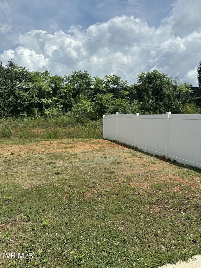 1461 Gress Mag Mtn, Kingsport, TN 37660 - view of yard