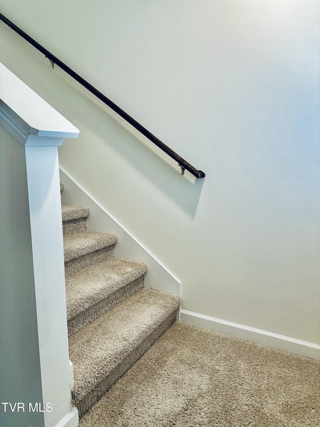 1461 Gress Mag Mtn, Kingsport, TN 37660 - staircase featuring baseboards and carpet