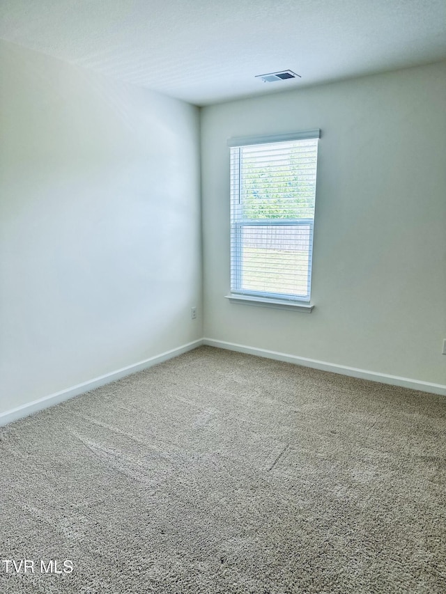 1461 Gress Mag Mtn, Kingsport, TN 37660 - unfurnished room with carpet flooring