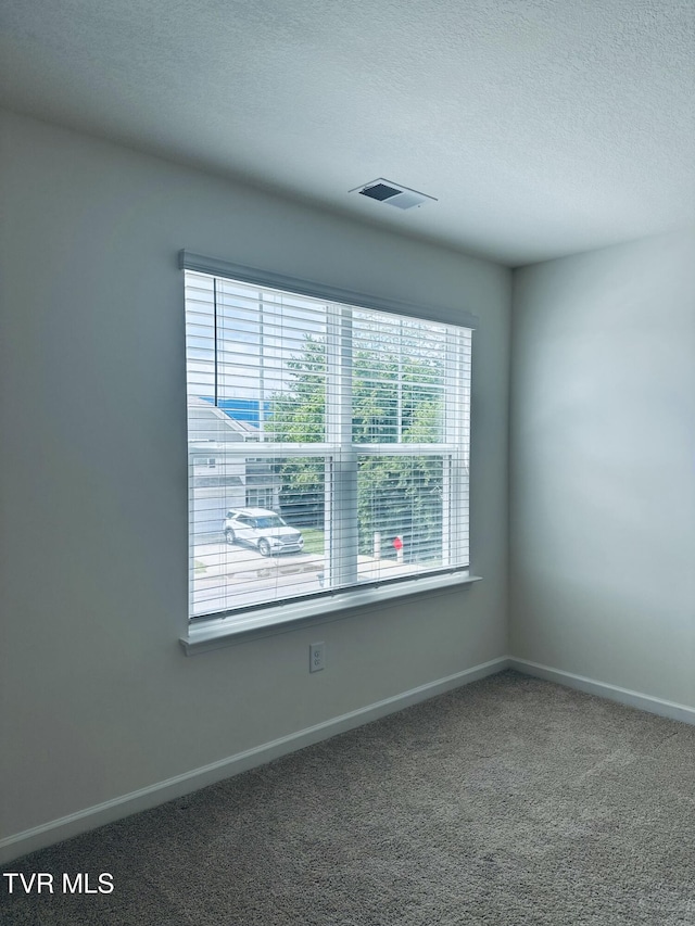 1461 Gress Mag Mtn, Kingsport, TN 37660 - carpeted empty room with a textured ceiling and baseboards