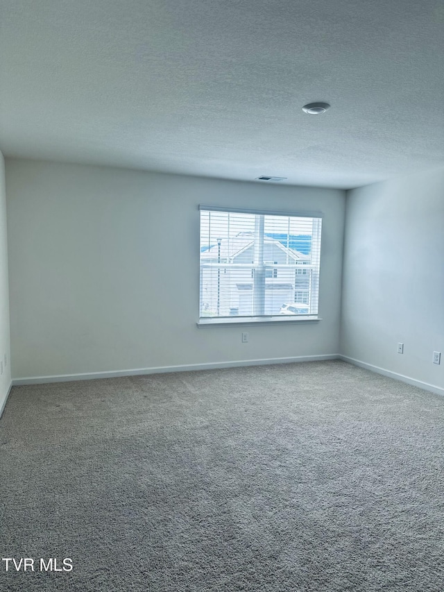 1461 Gress Mag Mtn, Kingsport, TN 37660 - spare room with carpet flooring and a textured ceiling