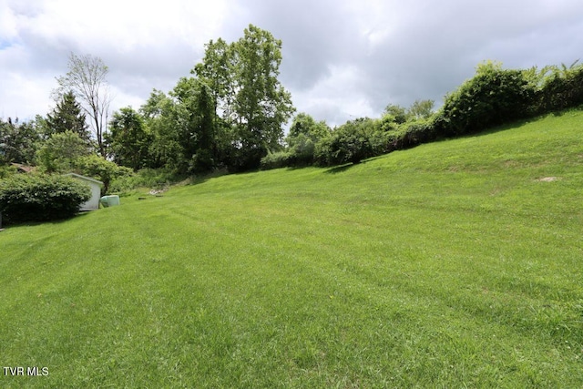 255 Wilson St, North Tazewell, VA 24630 - photo 28