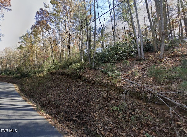 100 Bill Martin Rd, Afton, TN 37616