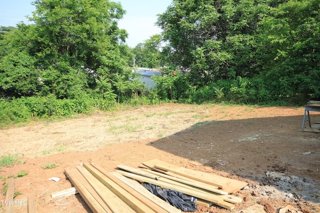 1524 Brown Ave, Jefferson City, TN 37760 - view of yard