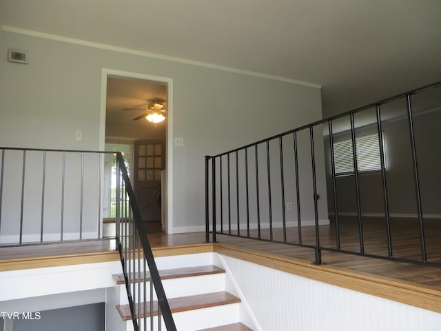 268 Scenic Dr, Bristol, TN 37620 - photo 6