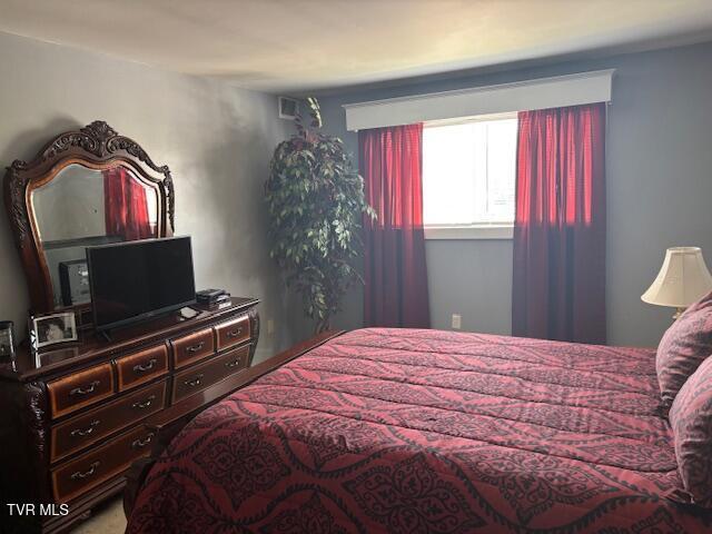 1145 Carriage Cir Unit 204, Bristol, VA 24201 - view of bedroom