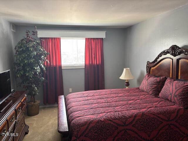 1145 Carriage Cir Unit 204, Bristol, VA 24201 - view of carpeted bedroom
