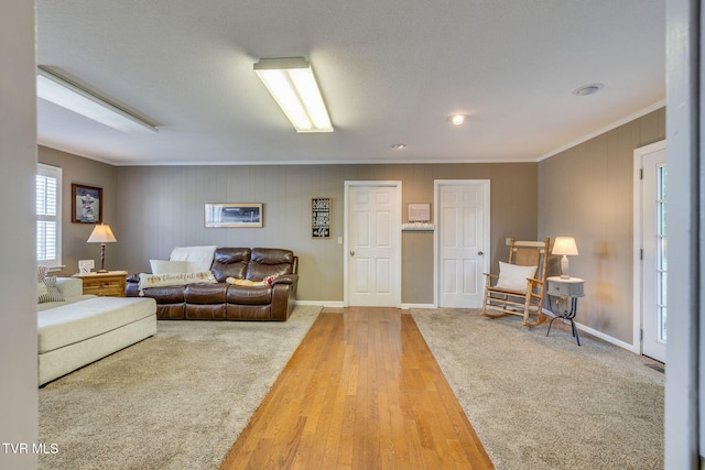 5116 Waterford Dr, Kingsport, TN 37664 - carpeted living area featuring crown molding and wood finished floors