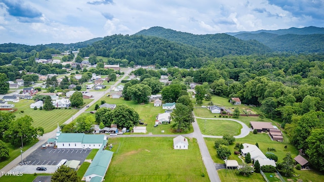 400 Riverside Dr, Unicoi, TN 37692 - photo 30