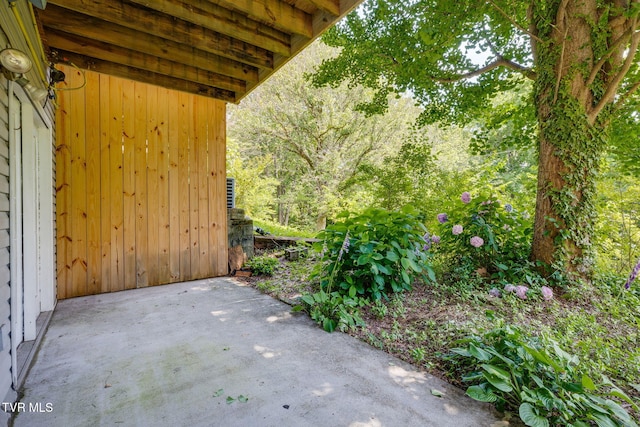 811 Fain Ave Unit 811, Kingsport, TN 37660 - view of patio