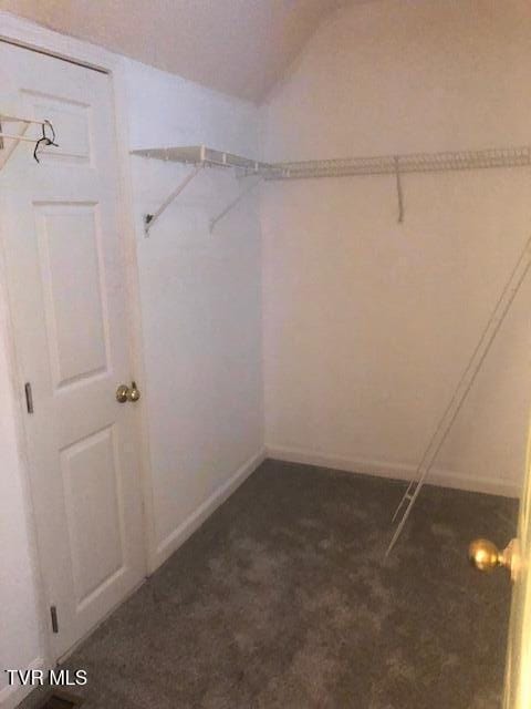 1005 Milton Ct Unit 1005, Kingsport, TN 37664 - walk in closet featuring dark colored carpet and vaulted ceiling