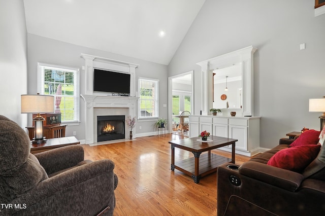 1251 Harmony Rd, Jonesborough, TN 37659 - living room with high vaulted ceiling, plenty of natural light, light wood-type flooring, and a fireplace with flush hearth