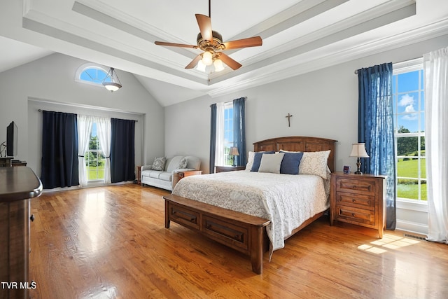 1251 Harmony Rd, Jonesborough, TN 37659 - bedroom featuring multiple windows, a raised ceiling, crown molding, light wood-type flooring, and lofted ceiling