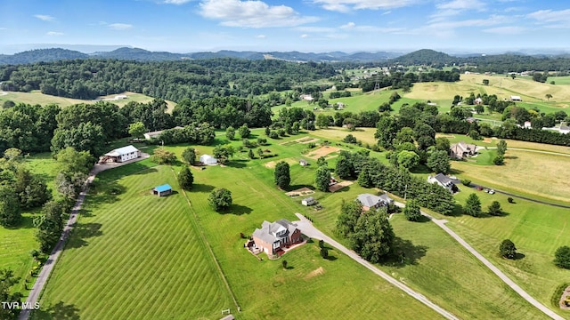 1251 Harmony Rd, Jonesborough, TN 37659 - overview of rural landscape featuring a mountain backdrop