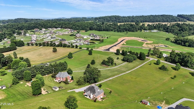 1251 Harmony Rd, Jonesborough, TN 37659 - drone / aerial view