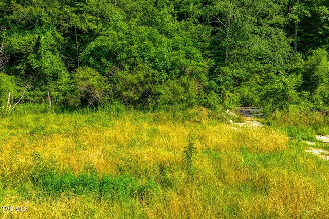 115 Willis Rd, Rogersville, TN 37857 - photo 2