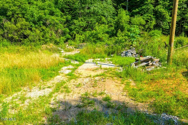 115 Willis Rd, Rogersville, TN 37857 - photo 3