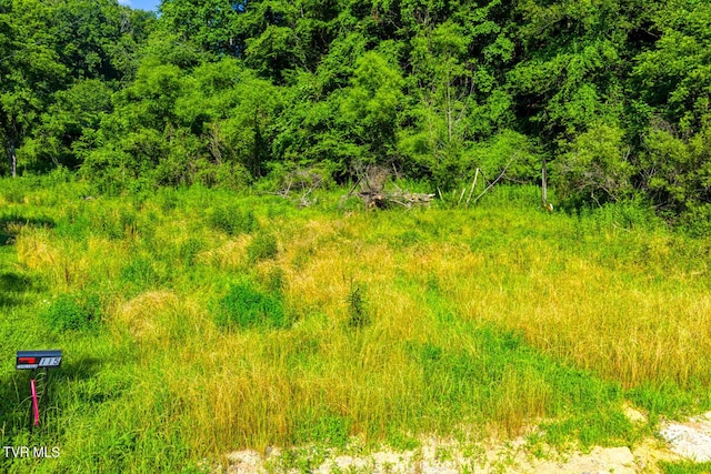 115 Willis Rd, Rogersville, TN 37857 - photo 4