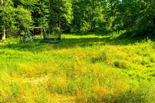 115 Willis Rd, Rogersville, TN 37857 - photo 5