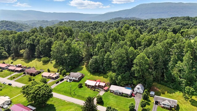 1710 E Shawnee Ave, Big Stone Gap, VA 24219 - photo 38