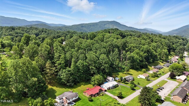 1710 E Shawnee Ave, Big Stone Gap, VA 24219 - photo 40