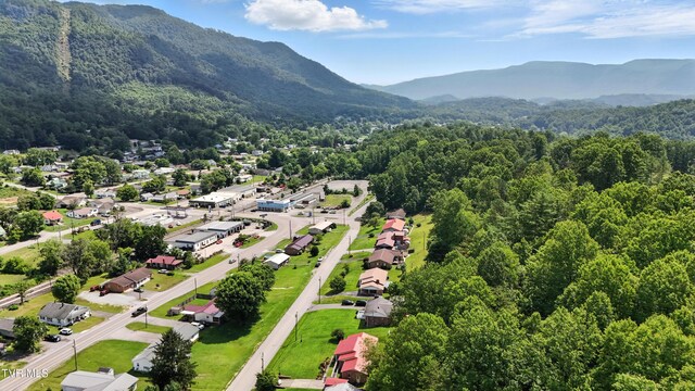 1710 E Shawnee Ave, Big Stone Gap, VA 24219 - photo 41