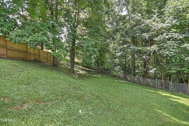 22126 Pinebrook Dr, Bristol, VA 24202 - photo 23