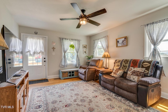 210 Anderson Rd, Johnson City, TN 37601 - living room with light wood-type flooring and ceiling fan