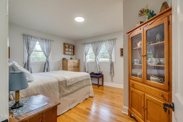 210 Anderson Rd, Johnson City, TN 37601 - bedroom with light wood finished floors and multiple windows