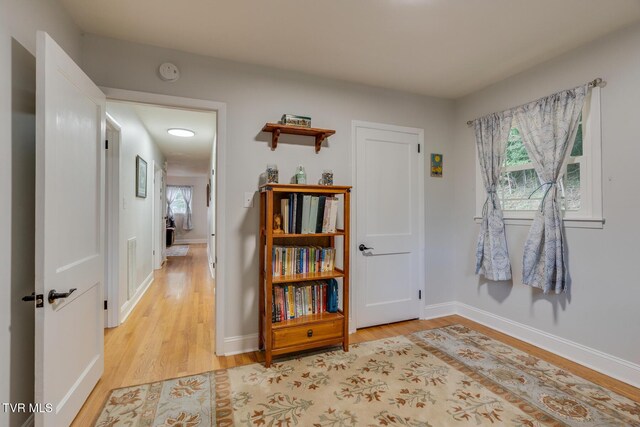 210 Anderson Rd, Johnson City, TN 37601 - hall with light wood-type flooring and healthy amount of natural light
