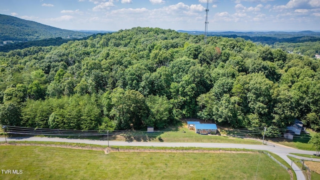 210 Anderson Rd, Johnson City, TN 37601 - aerial view of a heavily wooded area and a mountain backdrop