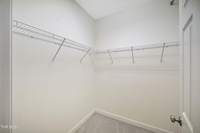 114 Wiltshire Dr, Gray, TN 37615 - walk in closet with light colored carpet